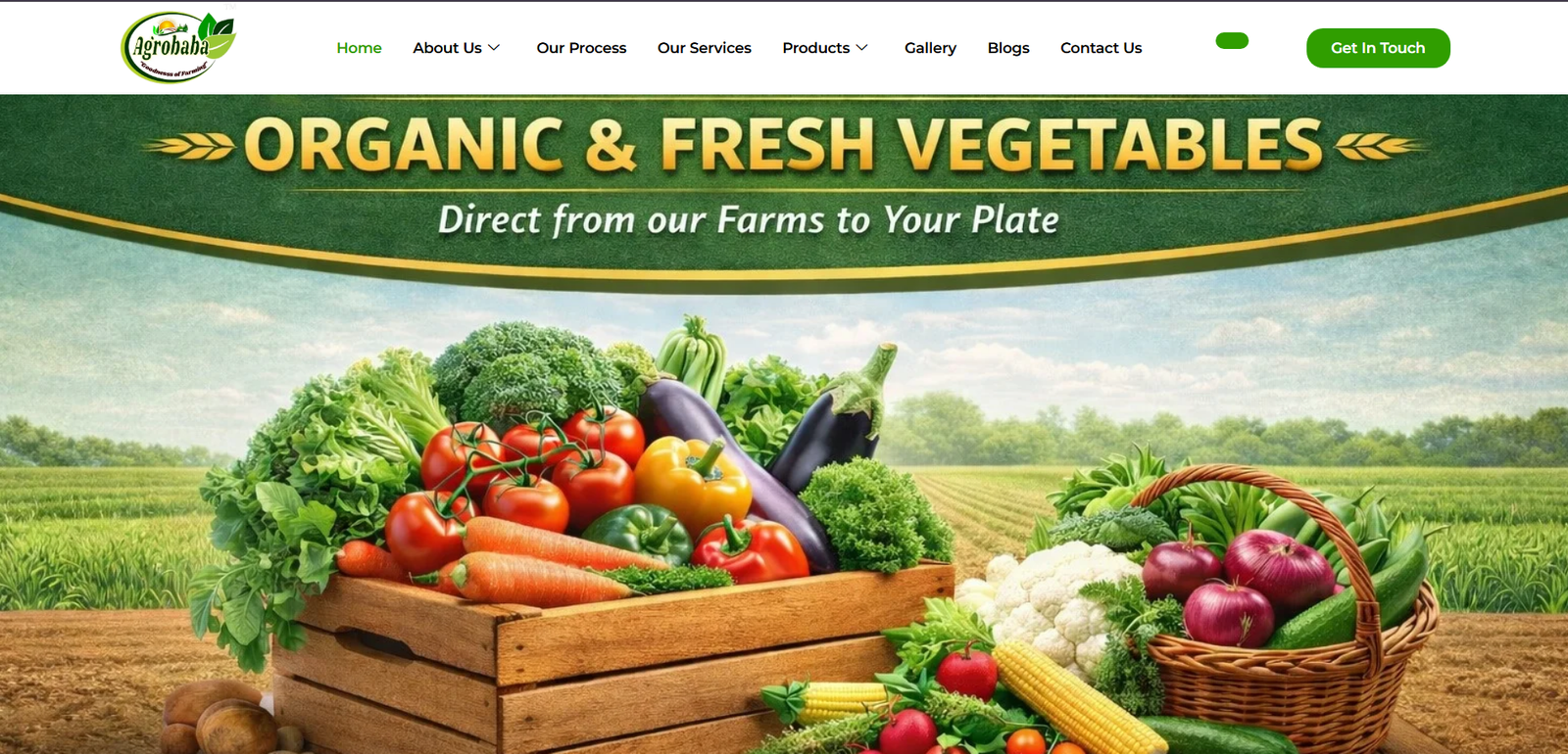 Dr Rai Dental - Dental Hospital Website