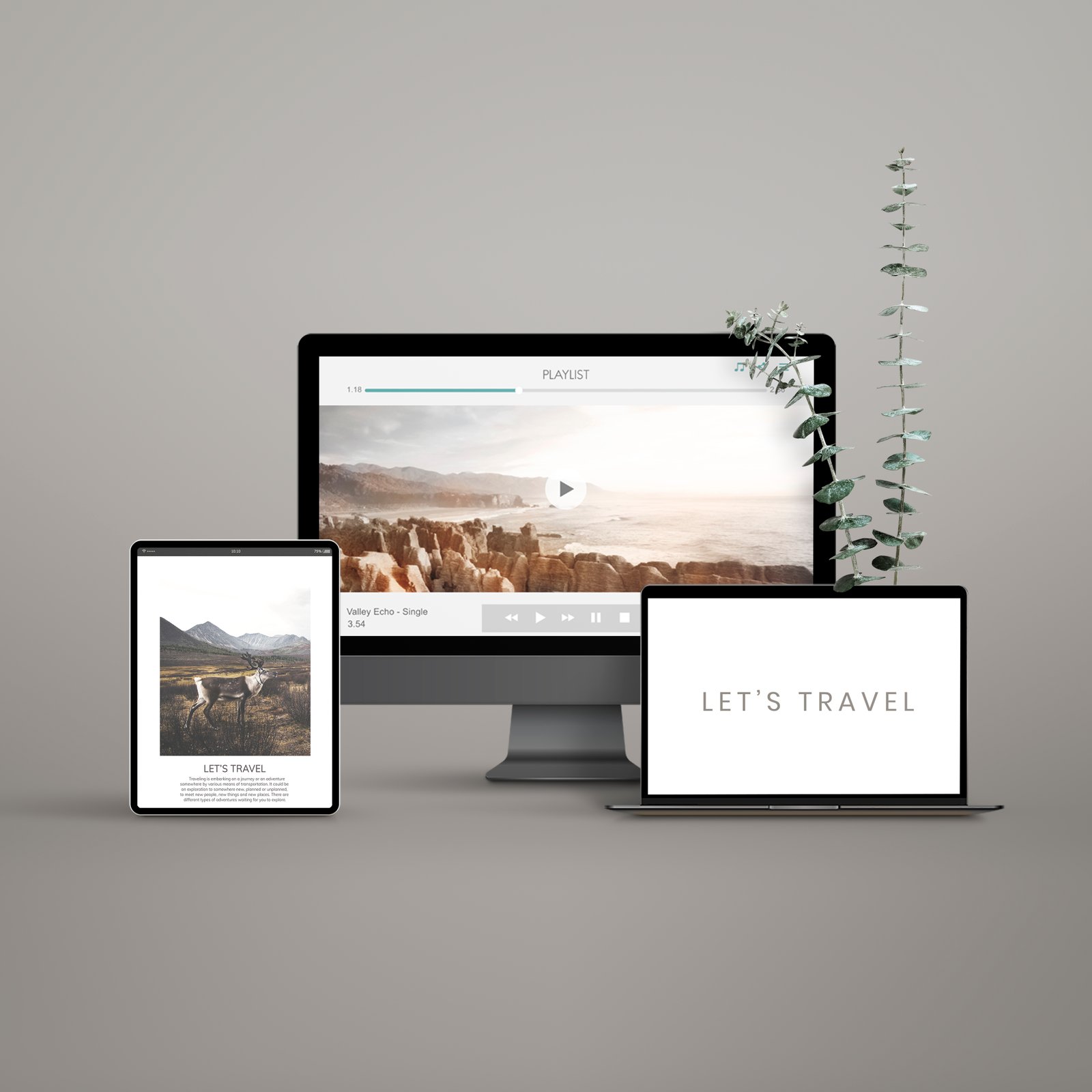 SoftNexa IT Solutions - Website Development Service